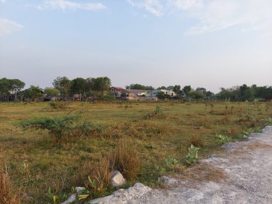 đất bỏ hoang