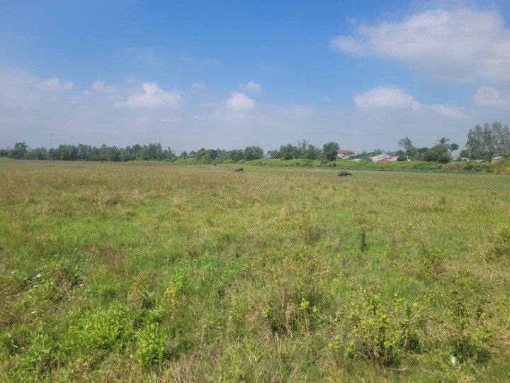 đất bỏ hoang