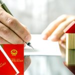 gop-von-minh-hoa-17286216256971919218800