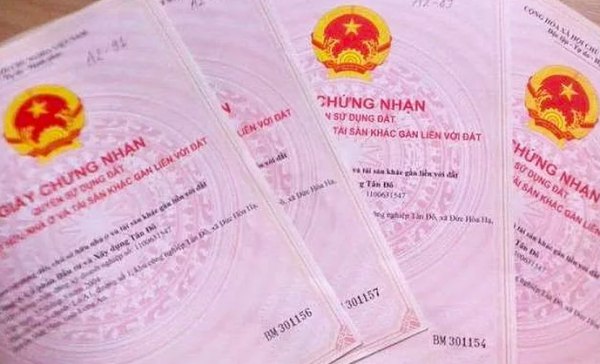 Hợp đồng tặng cho quyền sử dụng đất