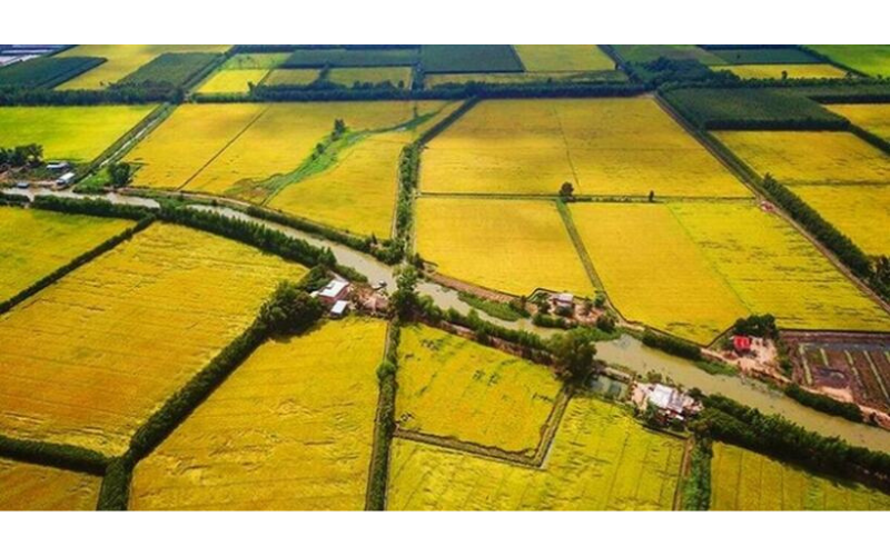 tách thửa đất tranh chấp